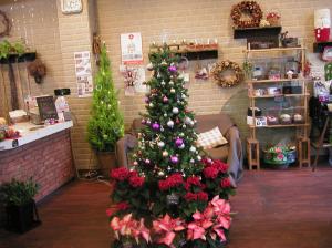 クリスマス♪♪｜「加茂ガーデン」　（岩手県大船渡市の花キューピット加盟店 花屋）のブログ