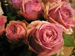 好きなバラ｜「加茂ガーデン」　（岩手県大船渡市の花キューピット加盟店 花屋）のブログ