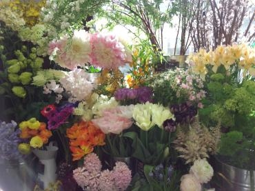春～（´～｀）｜「加茂ガーデン」　（岩手県大船渡市の花キューピット加盟店 花屋）のブログ